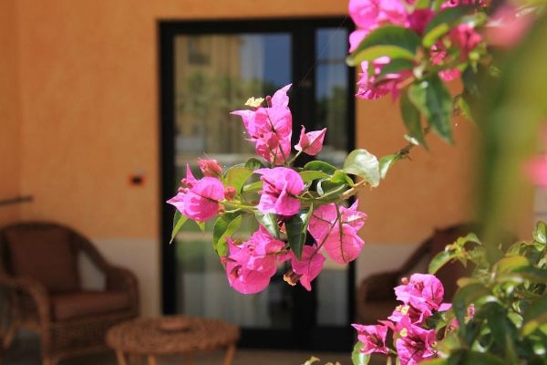 Relais Capo Spulico - Beach & SPA (Roseto Capo Spulico)